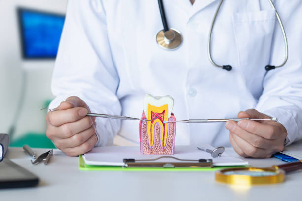 Best Emergency Treatment for Dental Infections or Abscesses in Oak Grove, OR